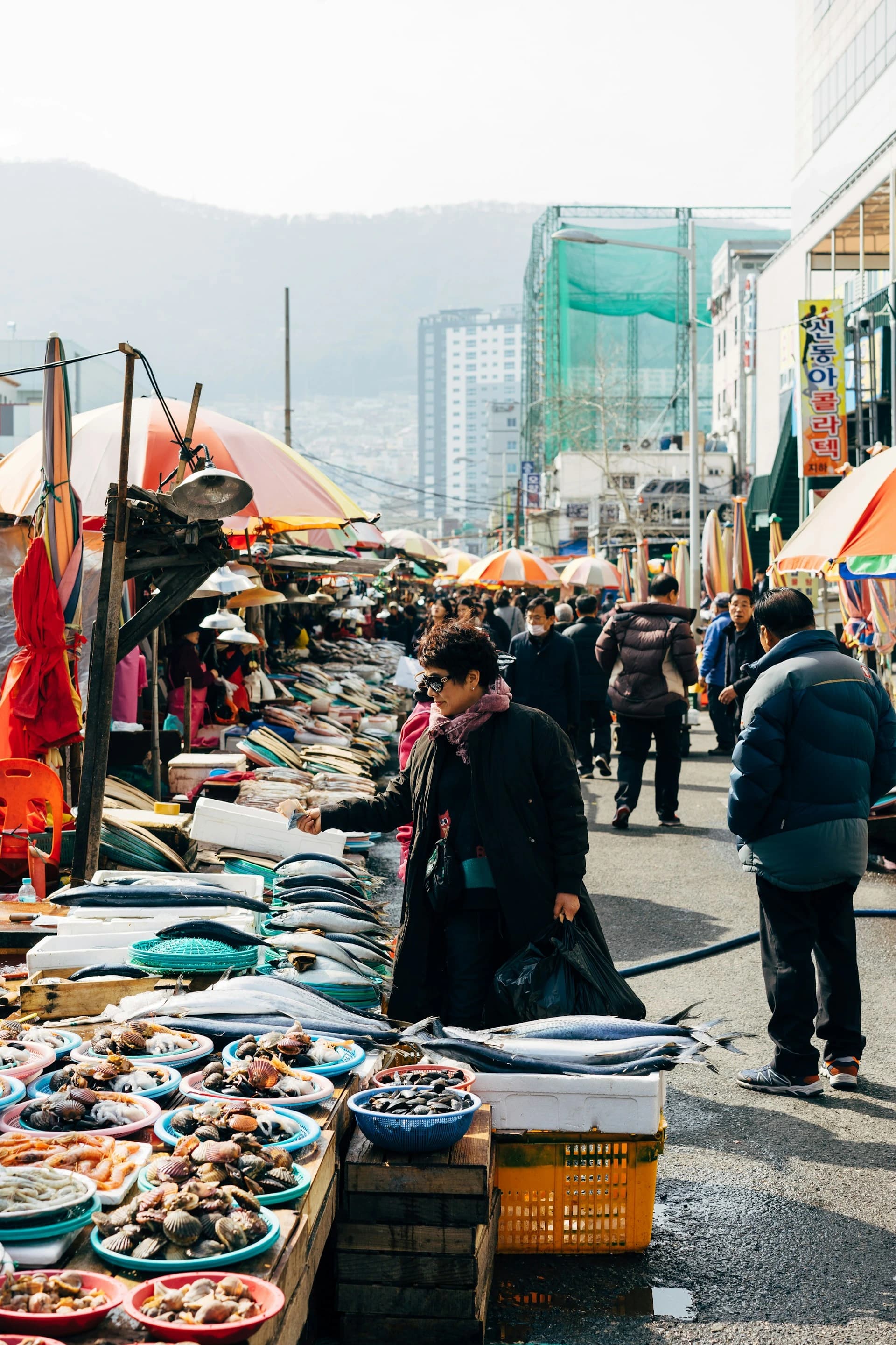 Busan (Photo by Markus Winkler)